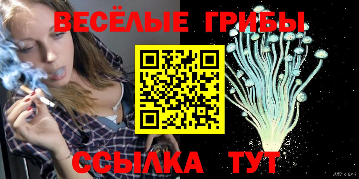 Псилоцибиновые грибы Psilocybe Кемерово