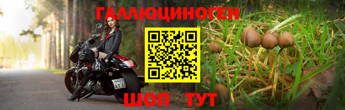 Кемерово  Псилоцибиновые грибы ЛСД  Галлюциногенные грибы GOLDEN TEACHER  Вход с VPN 